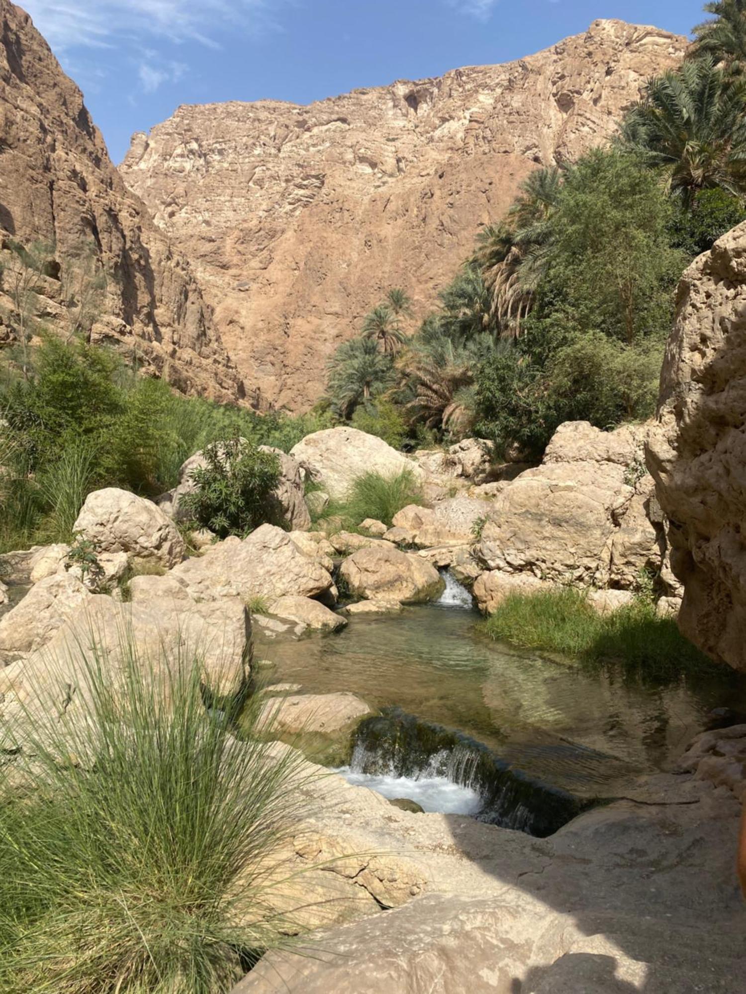 Wadi Shab Guest House Tiwi Exteriér fotografie