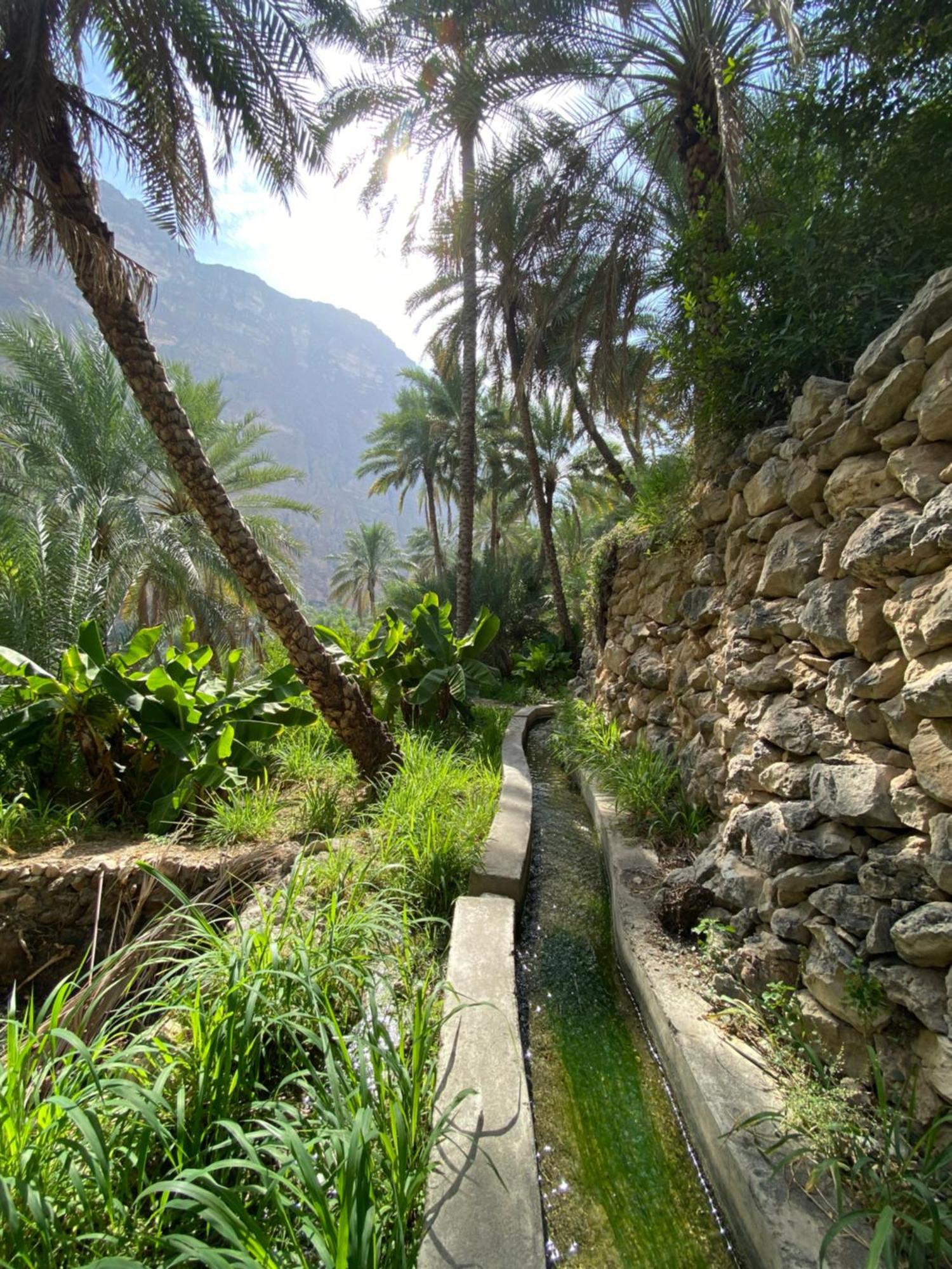 Wadi Shab Guest House Tiwi Exteriér fotografie
