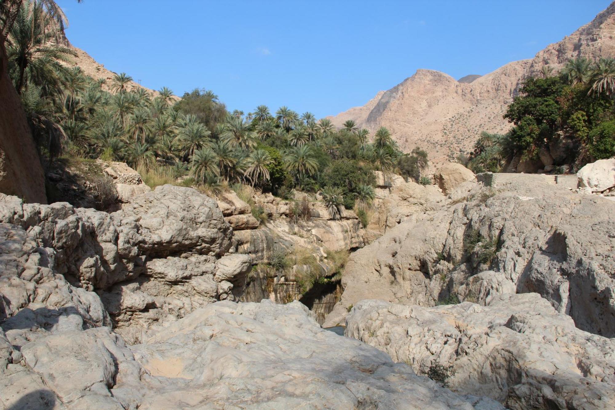Wadi Shab Guest House Tiwi Exteriér fotografie